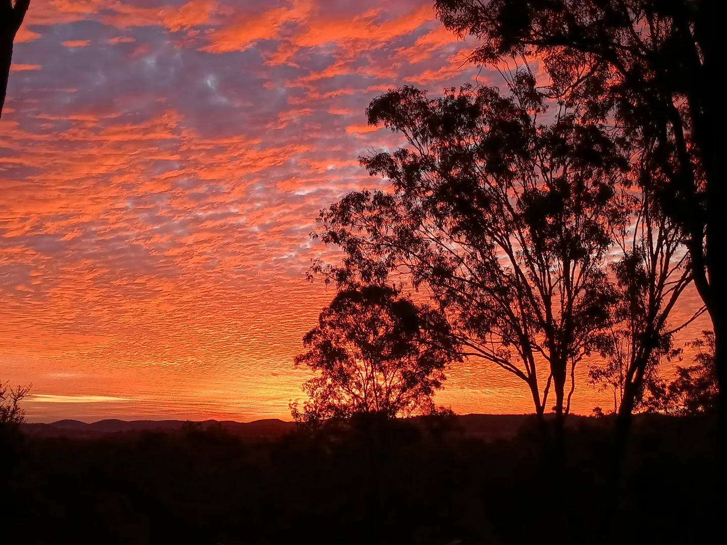 Additional image 11 of Lot 389 East Cooyar Road, Cooyar QLD 4402
