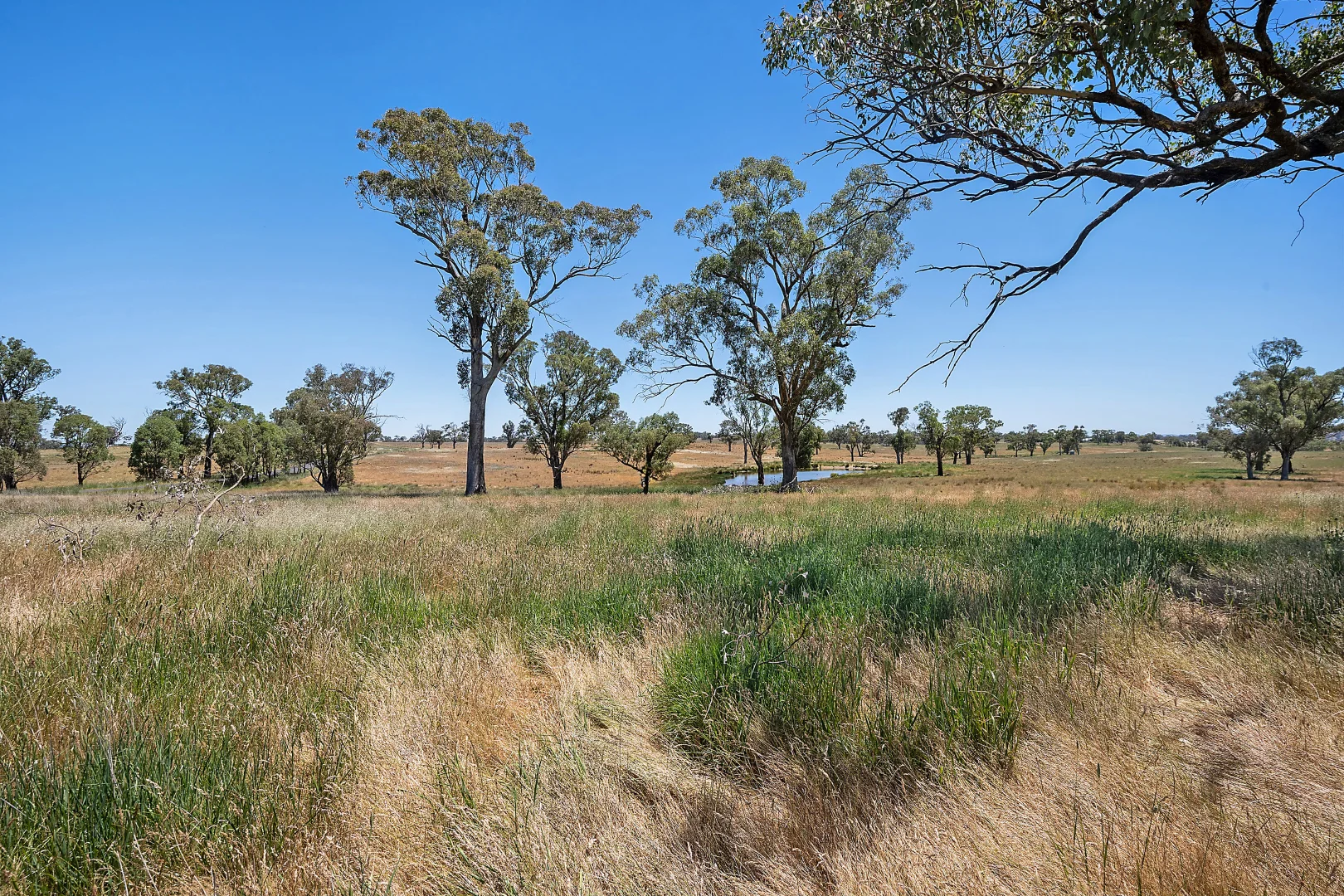 Additional image 15 of 2593 Four Mile Creek Road, Orange NSW 2800