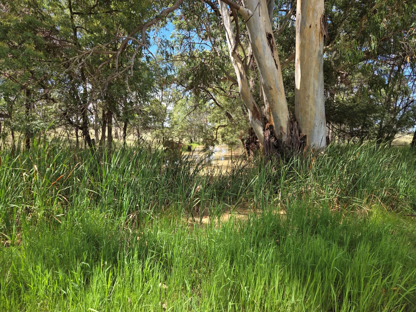 Additional image 20 of Allies Creek Road, Monogorilby QLD 4626