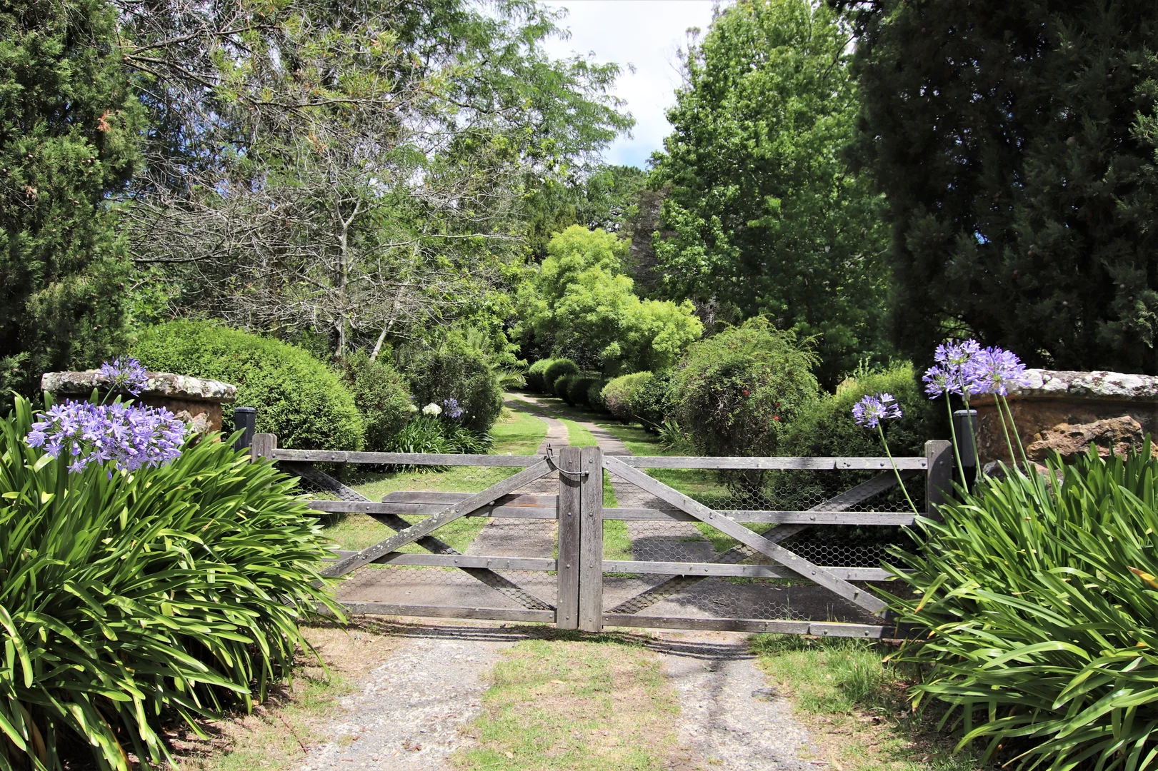 Additional image 4 of 1045 Old Hume Hwy, Alpine NSW 2575