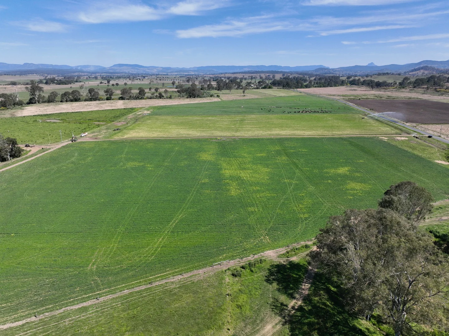 Additional image 7 of 288 Round Mountain Road, Laravale QLD 4285