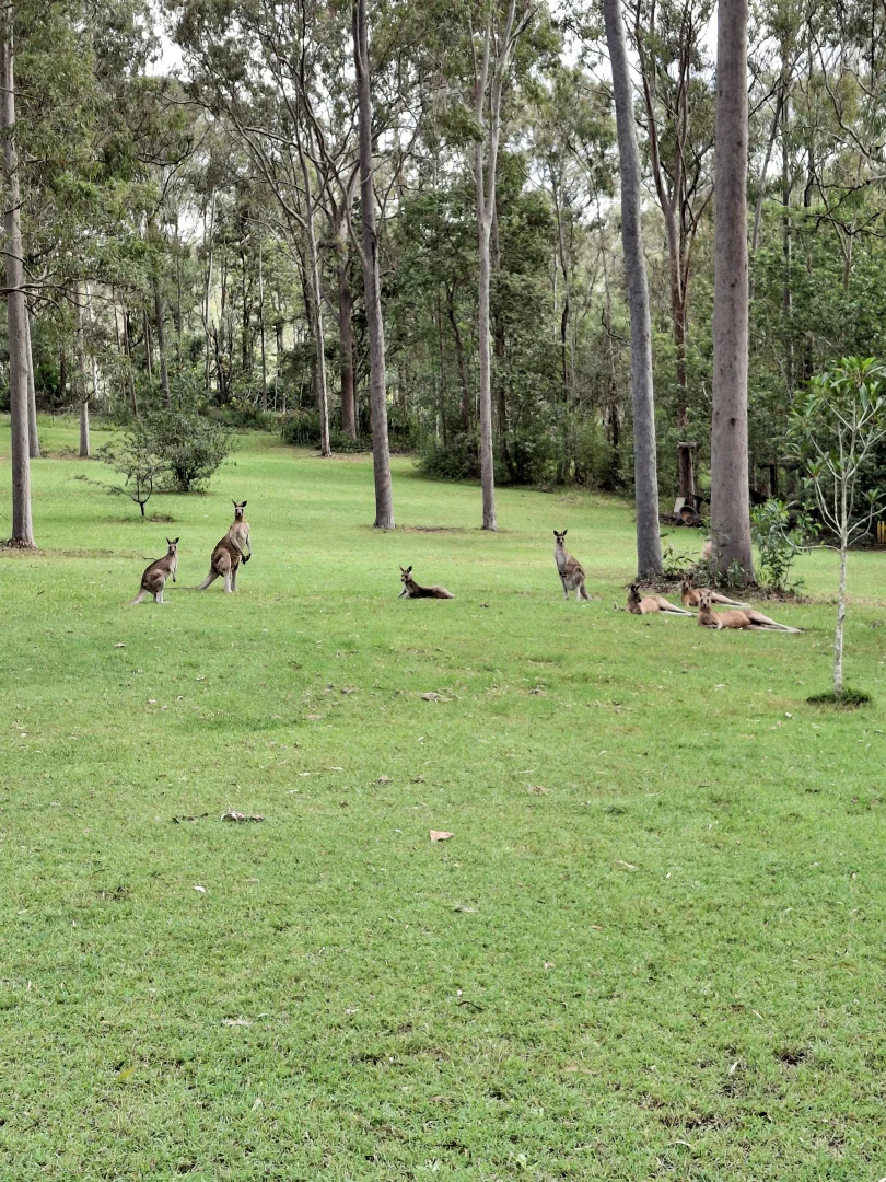 Additional image 45 of 324-346 Greensward Road, Tamborine QLD 4270