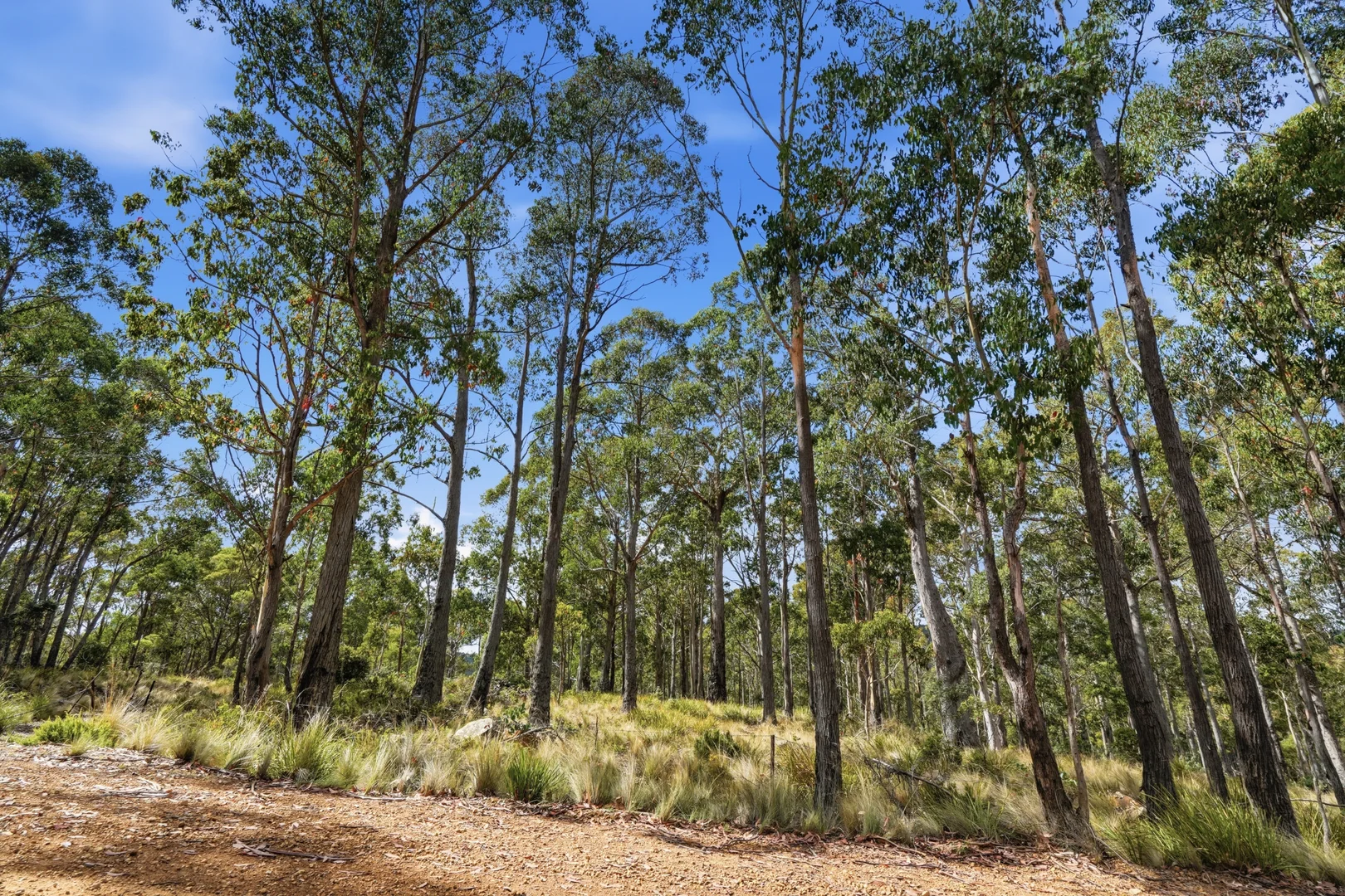 Additional image 4 of 18 Little Spit Road, Lake Leake TAS 7210