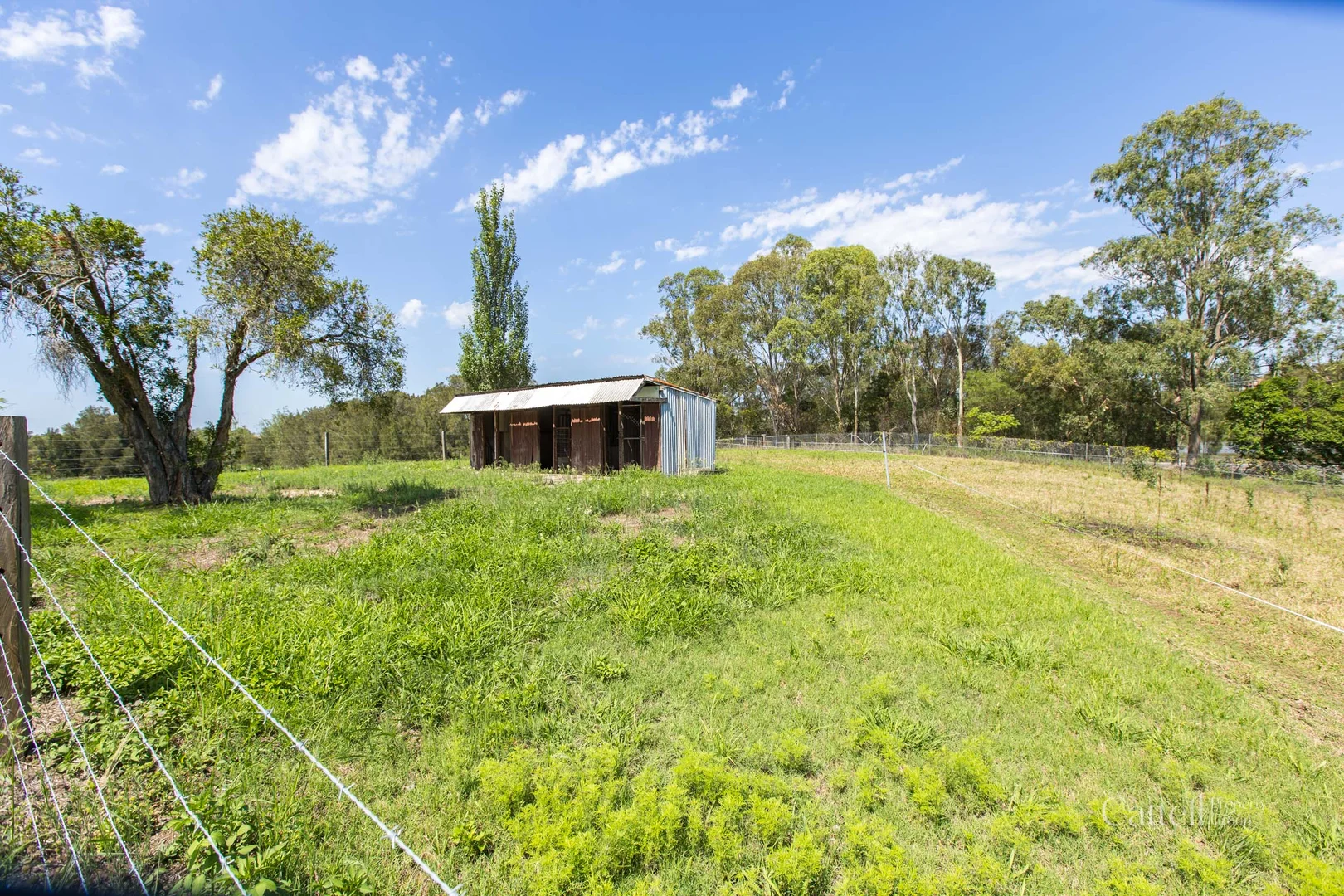 Additional image 19 of 64 Bonar Street, Maitland NSW 2320