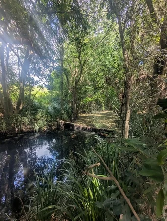 Additional image 3 of 2433 Old Bruce Highway, Coles Creek QLD 4570