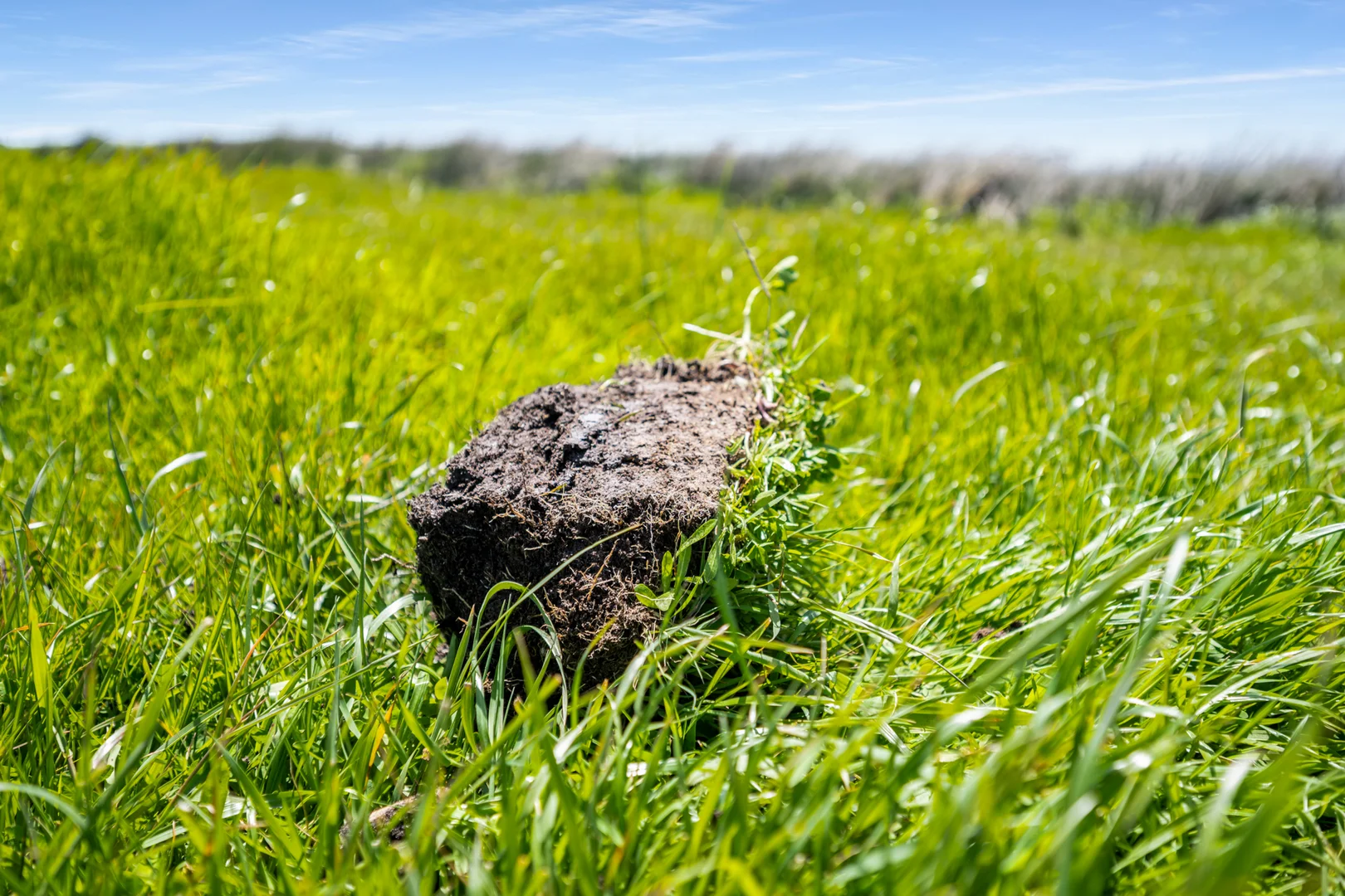 Additional image 5 of 701 Nora Creina Road, Robe SA 5276