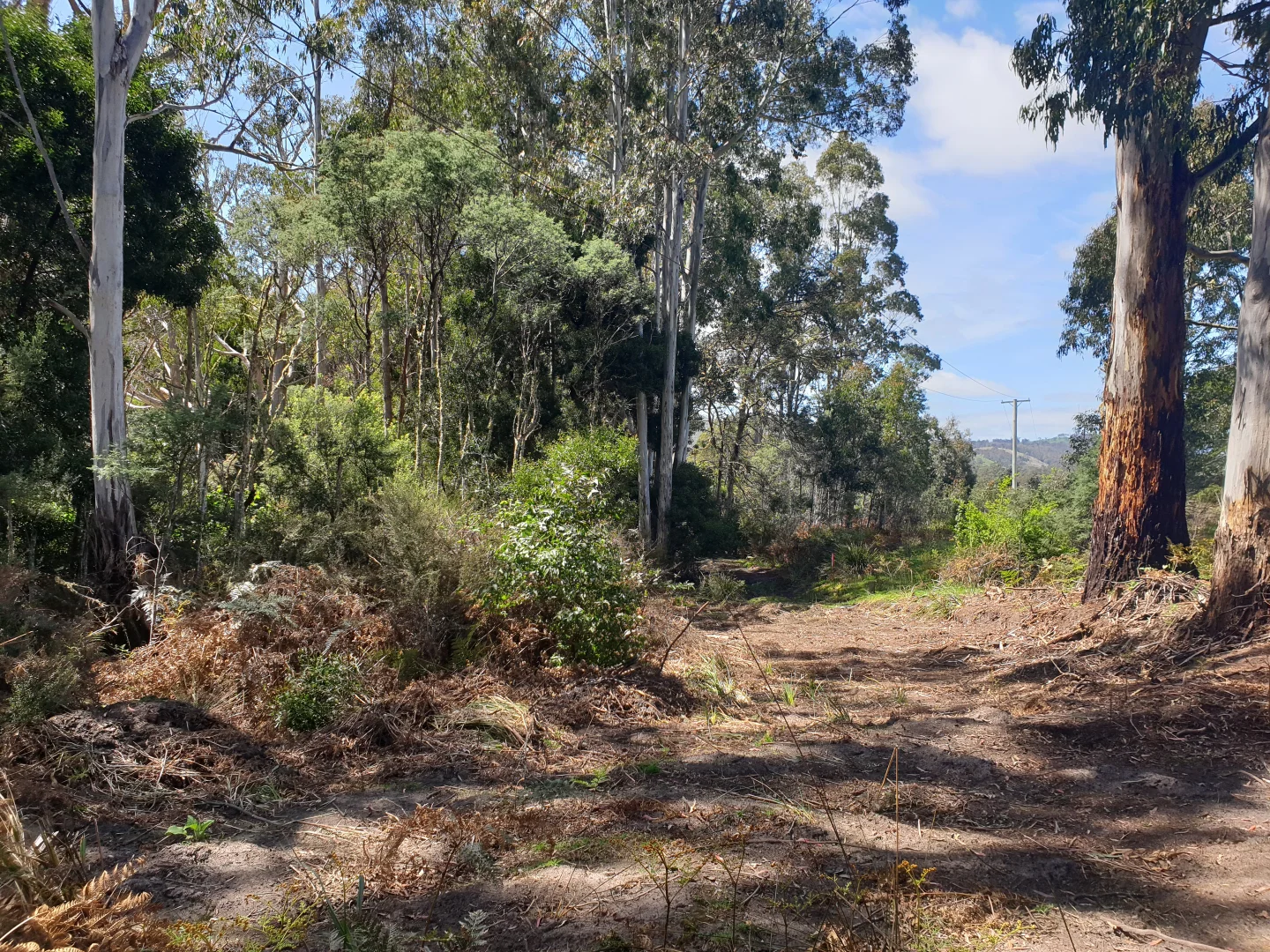 Additional image 9 of 33 Holmes Road, Ellendale TAS 7140