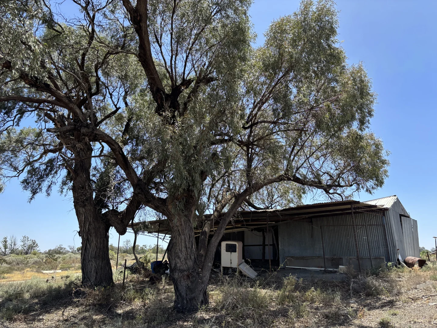 Additional image 4 of 104 Syndicate Road, Curlwaa NSW 2648