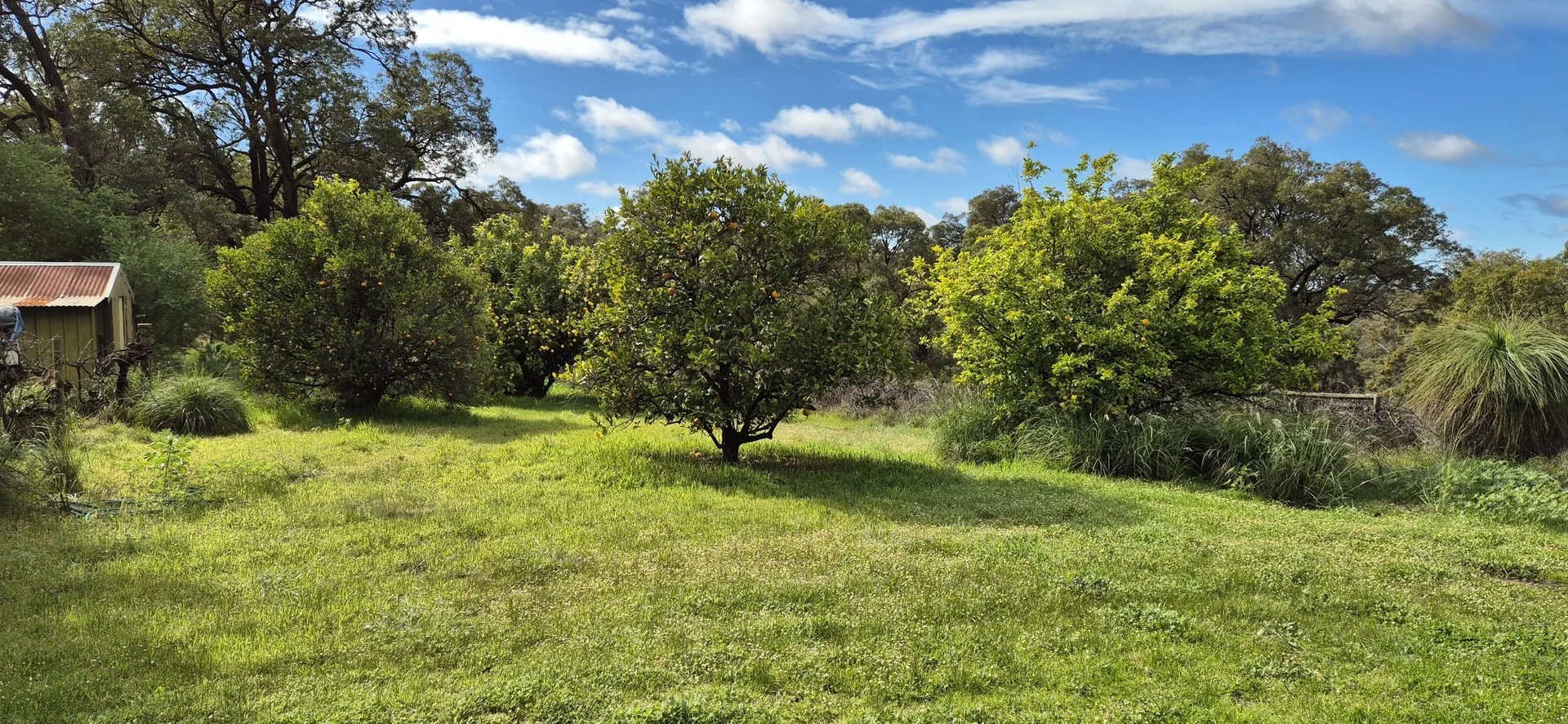 Additional image 11 of 197 Millbank Road, Cowalla WA 6503