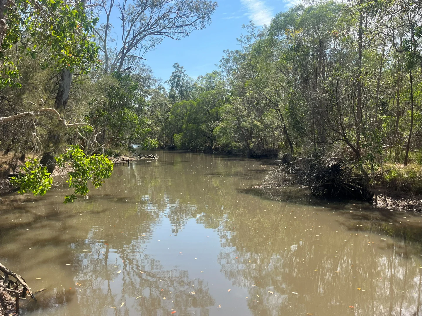 Additional image 23 of Blunder Park Station 382 Blunder Park Road, Ravenshoe QLD 4888