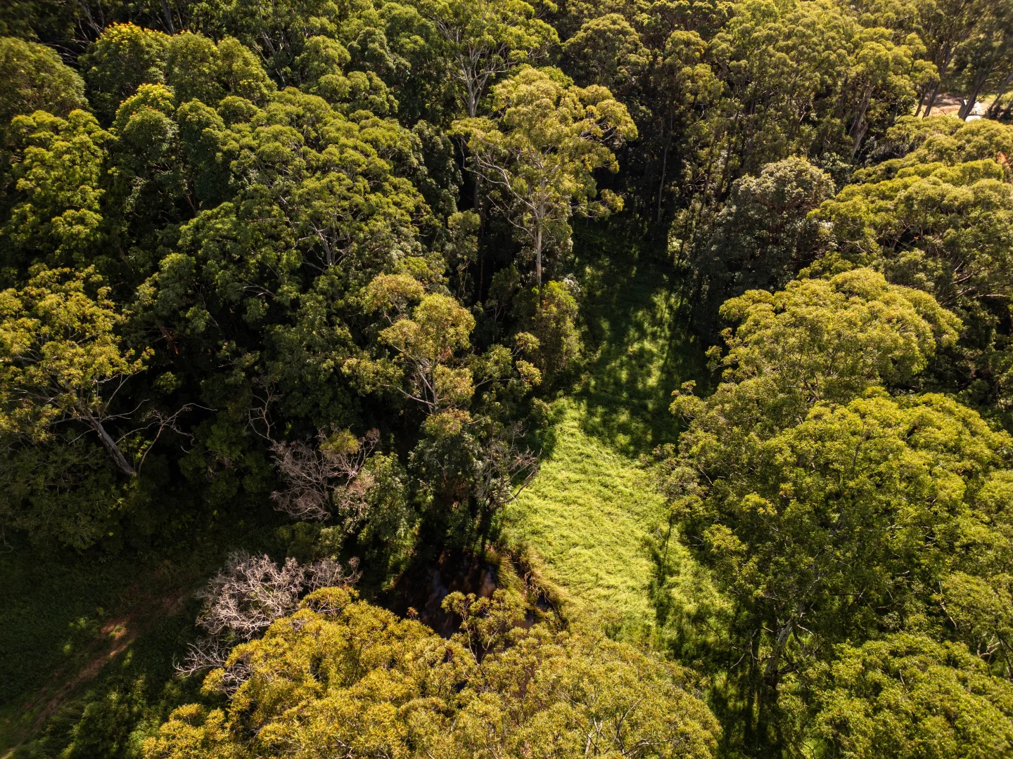 Additional image 16 of 618 Binna Burra Road, Beechmont QLD 4211