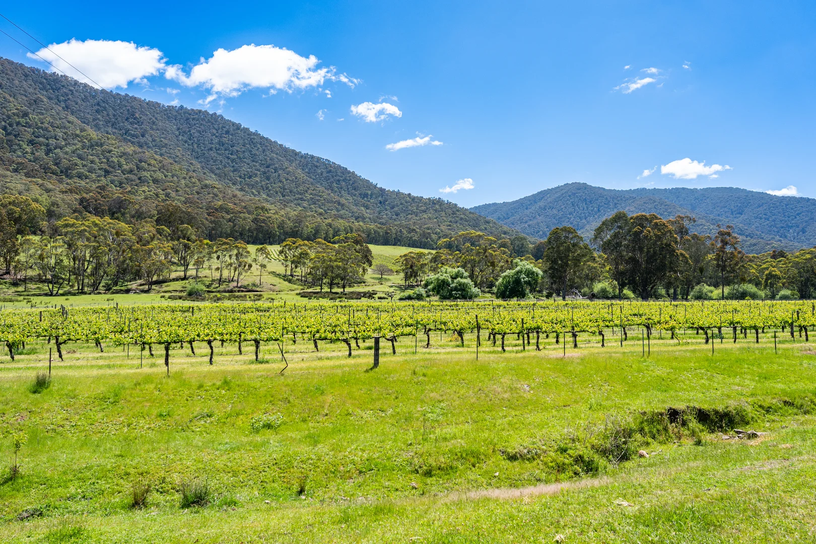 Additional image 19 of 285 Bay Creek Lane, Mongans Bridge VIC 3691