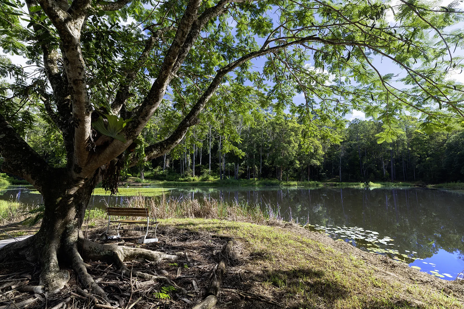 Additional image 27 of 654 Blackall Range Road, West Woombye QLD 4559