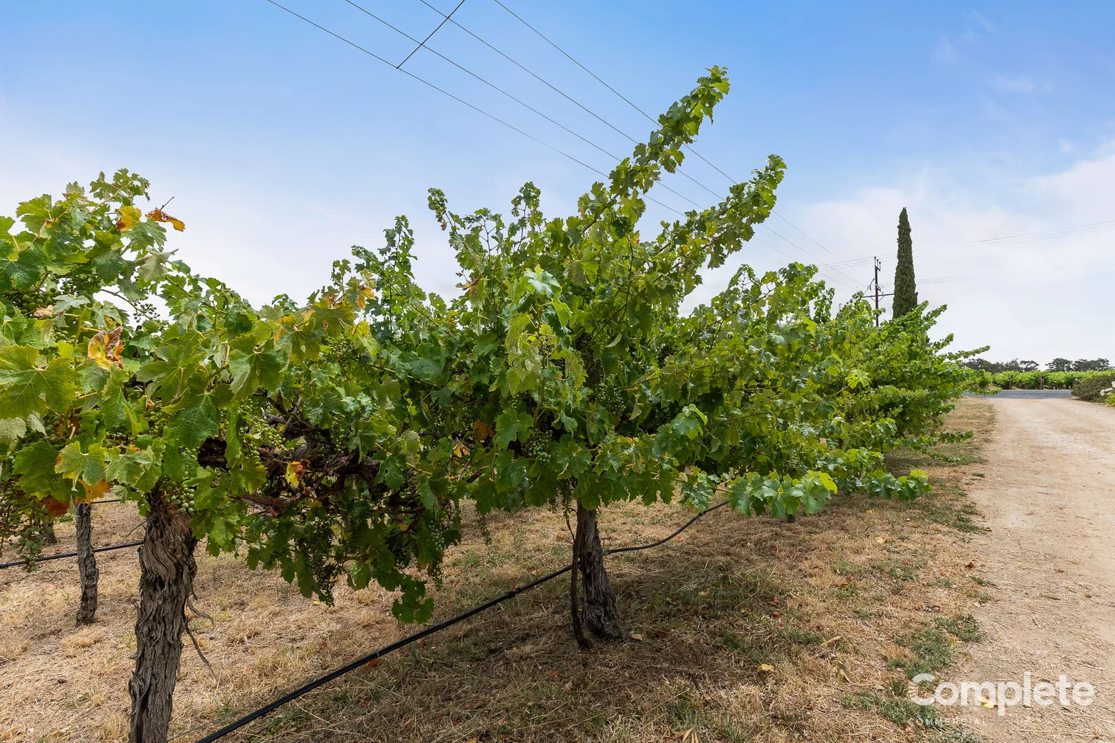 Additional image 7 of 15535 RIDDOCH HIGHWAY, Penola SA 5277