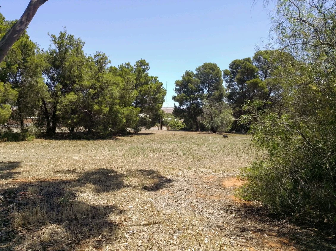 Additional image 6 of 22 Barr Street, Redhill SA 5521