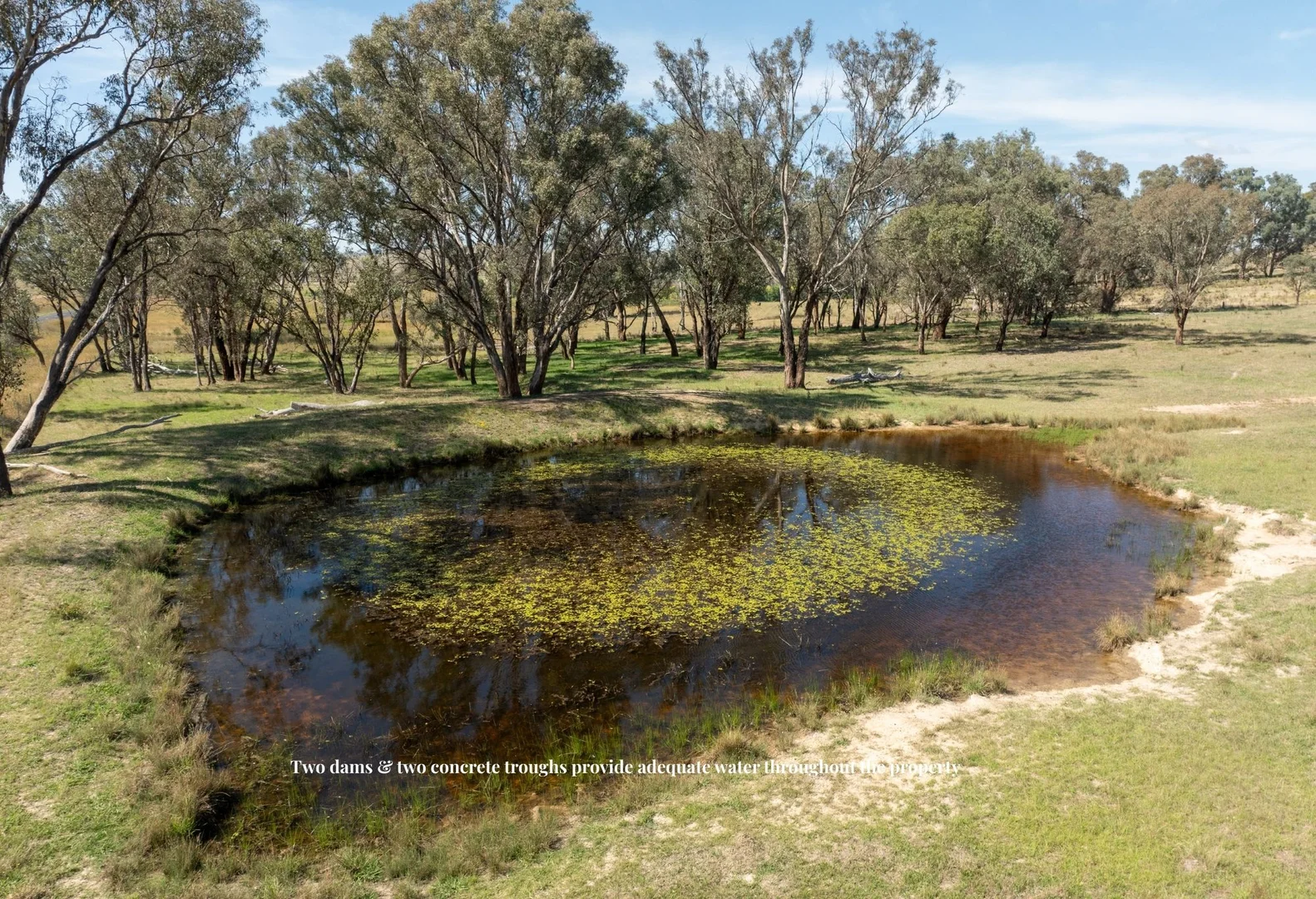 Additional image 17 of 'Shepherds Rest' 4535 Burrendong Way, Euchareena NSW 2866