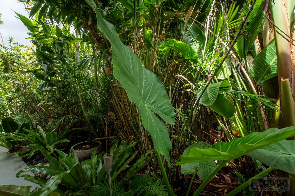 Additional image 24 of 37 South Street, Gatton QLD 4343