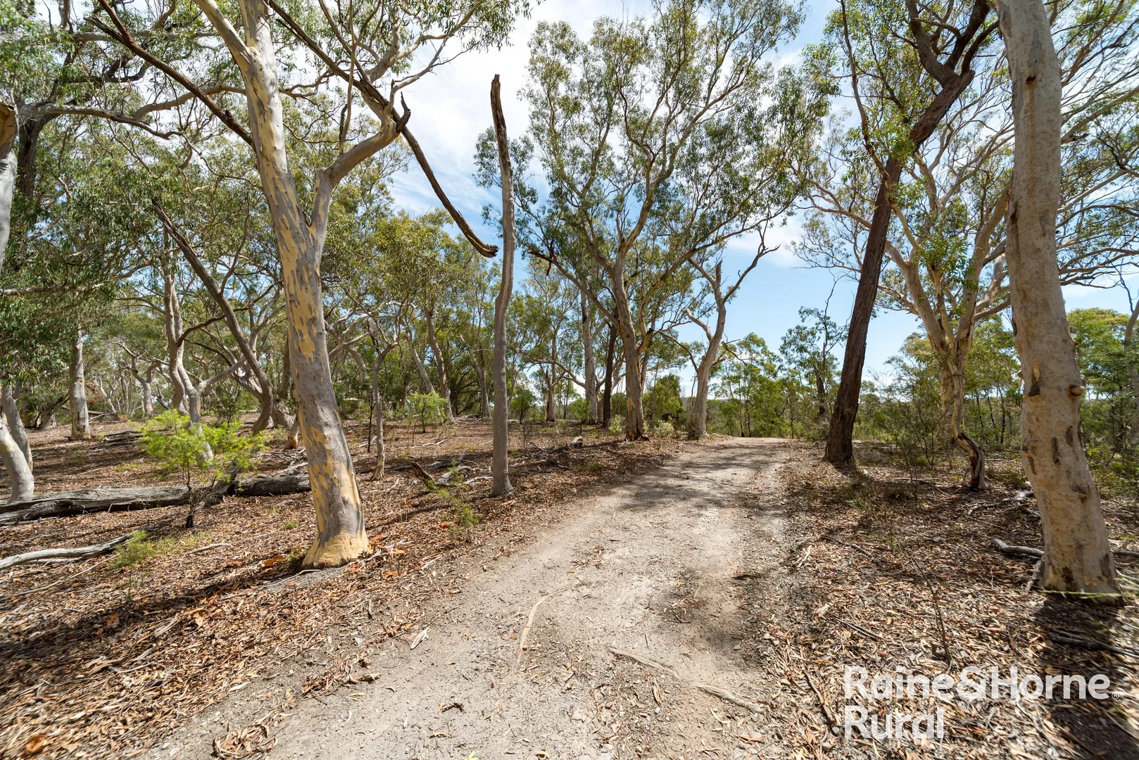 Additional image 15 of 1081 Sandy Point Road, Lower Boro NSW 2580
