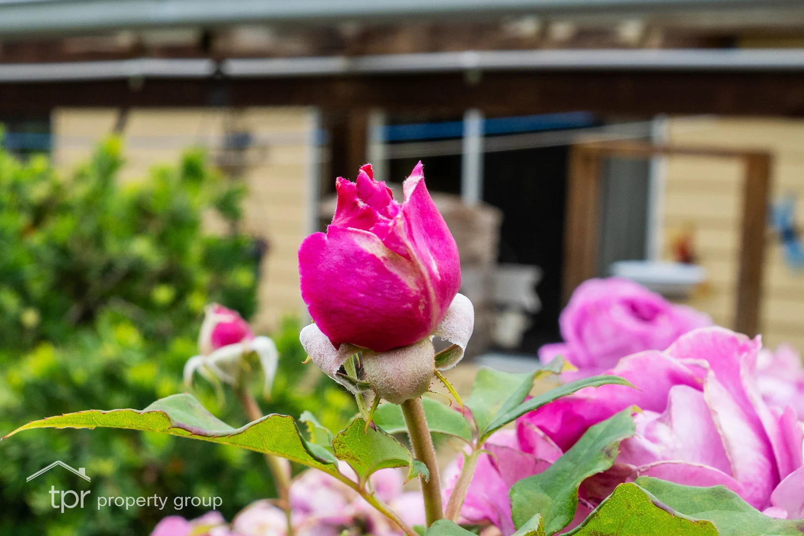 Additional image 38 of 7018 Huon Highway, Dover TAS 7117