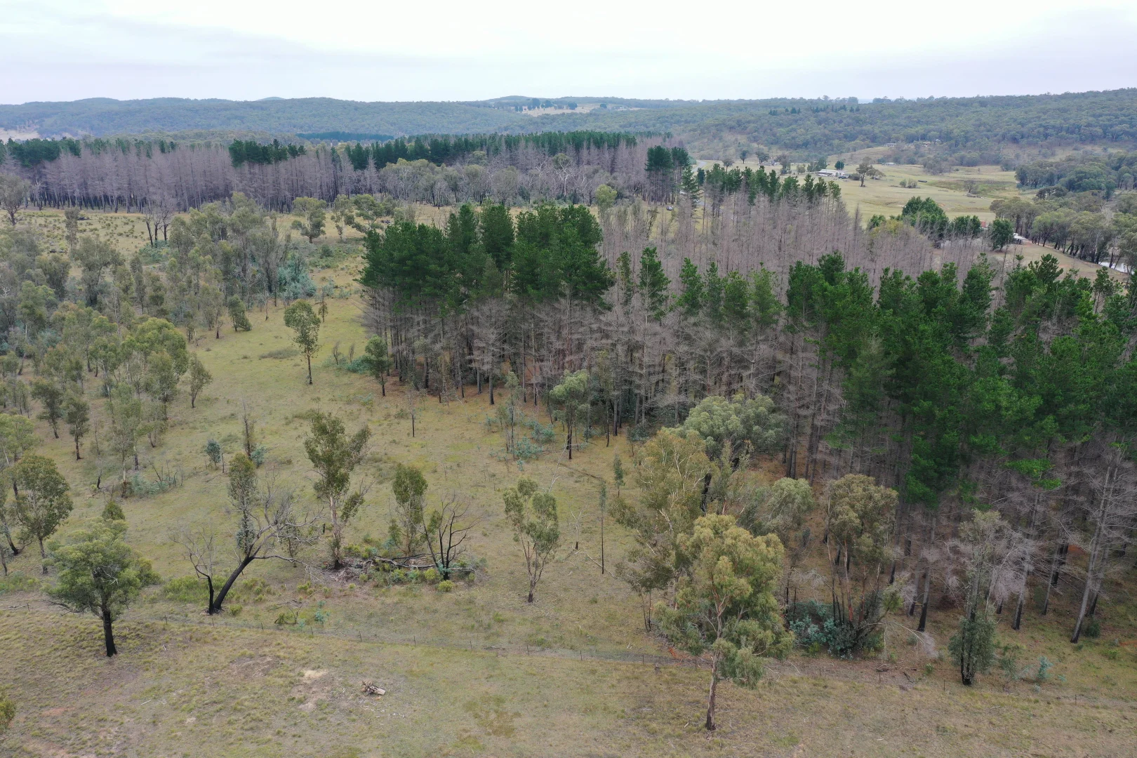 Additional image 5 of 186 Old Station Creek Road, Taralga NSW 2580