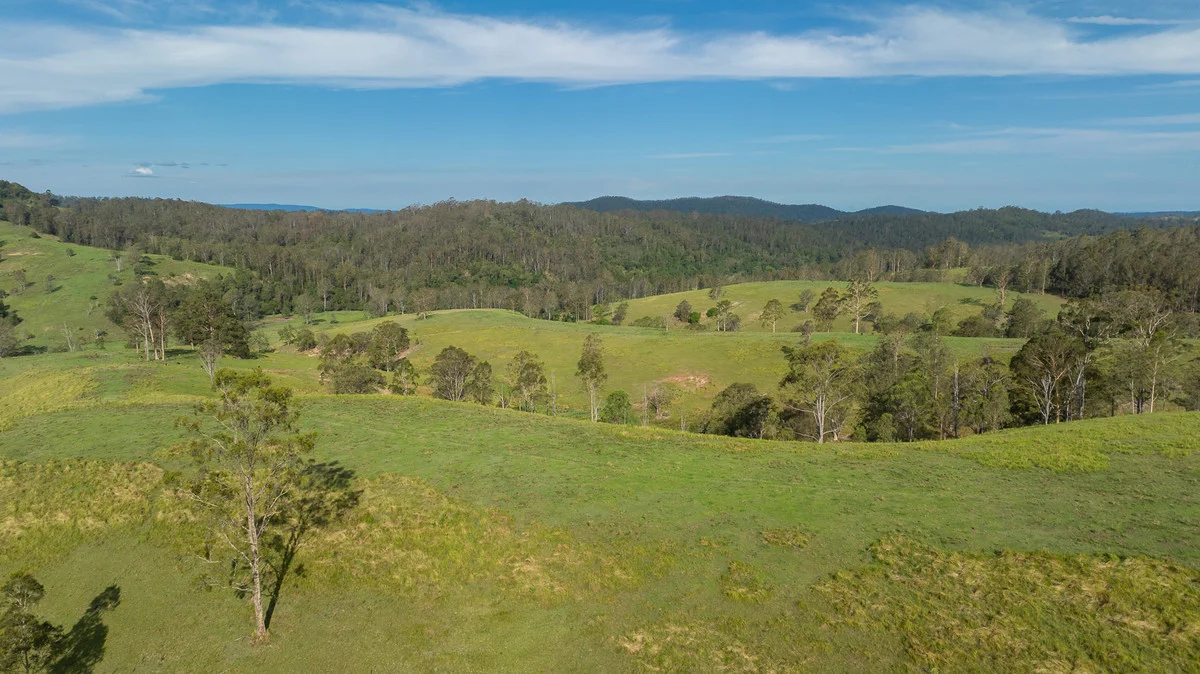 Additional image 15 of Bingeebeebra Creek, Mummulgum NSW 2469