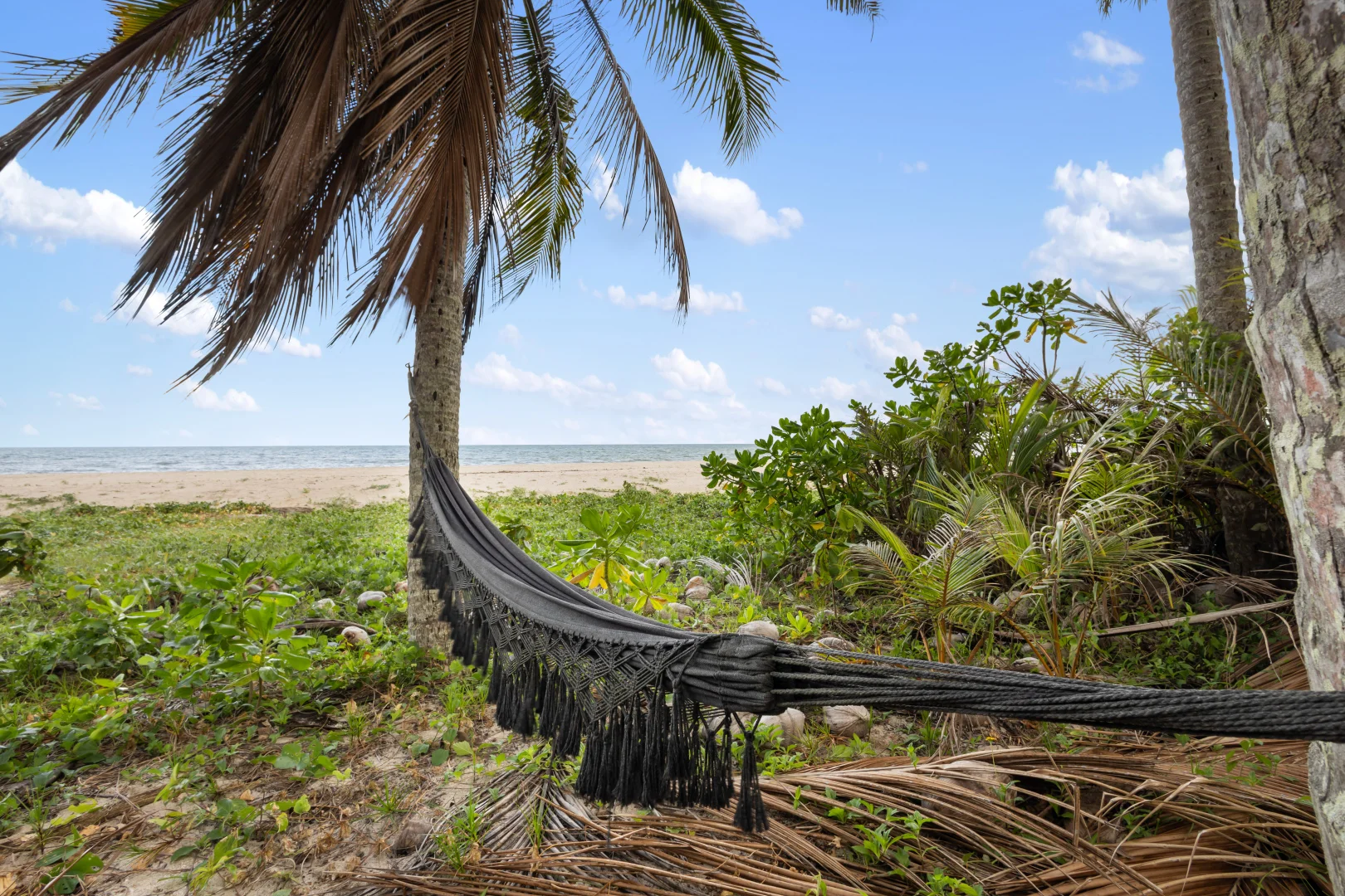 Additional image 30 of 16 Rankin Street, Newell QLD 4873