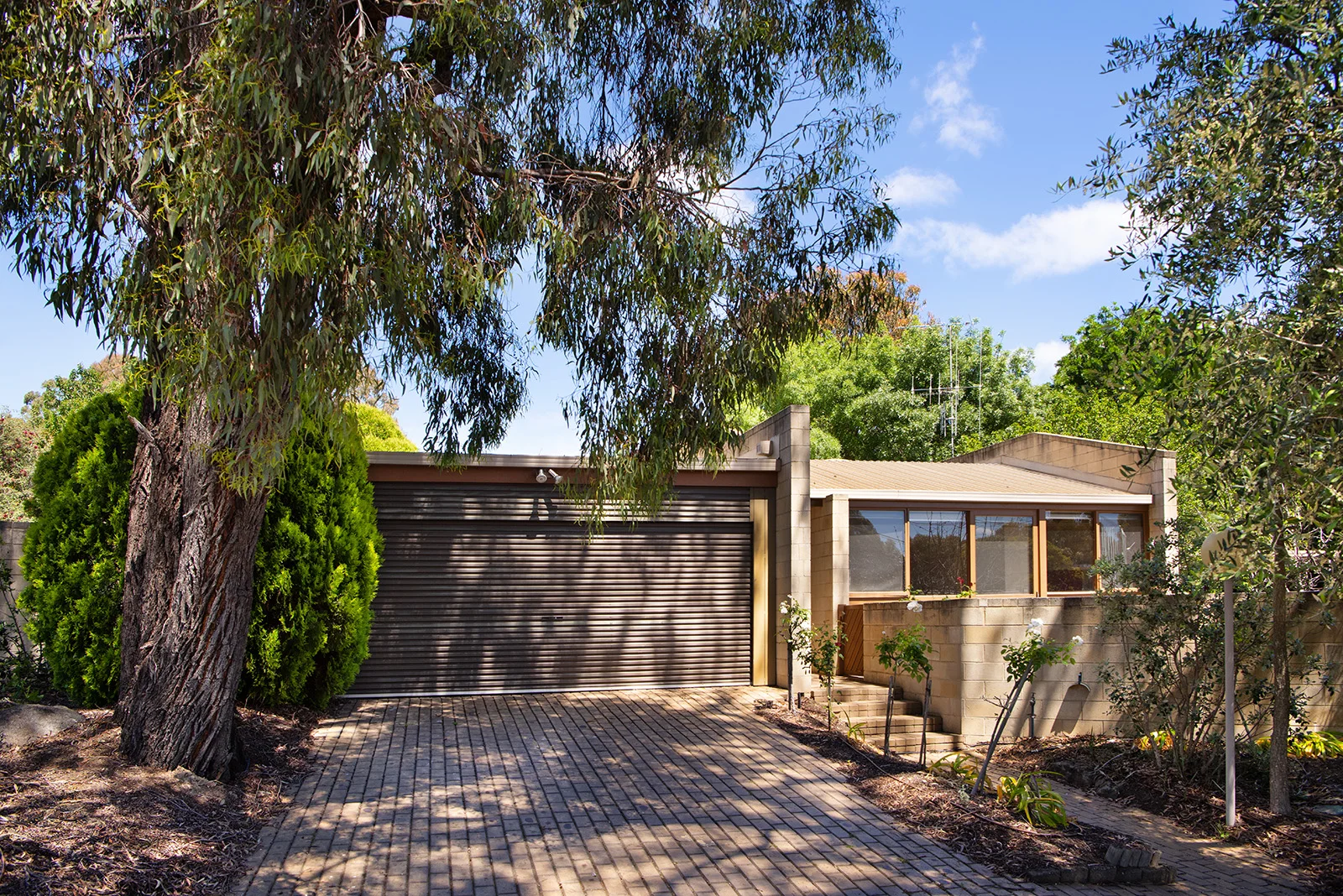 Additional image 3 of 38-40 Butcher Street, Strathdale VIC 3550