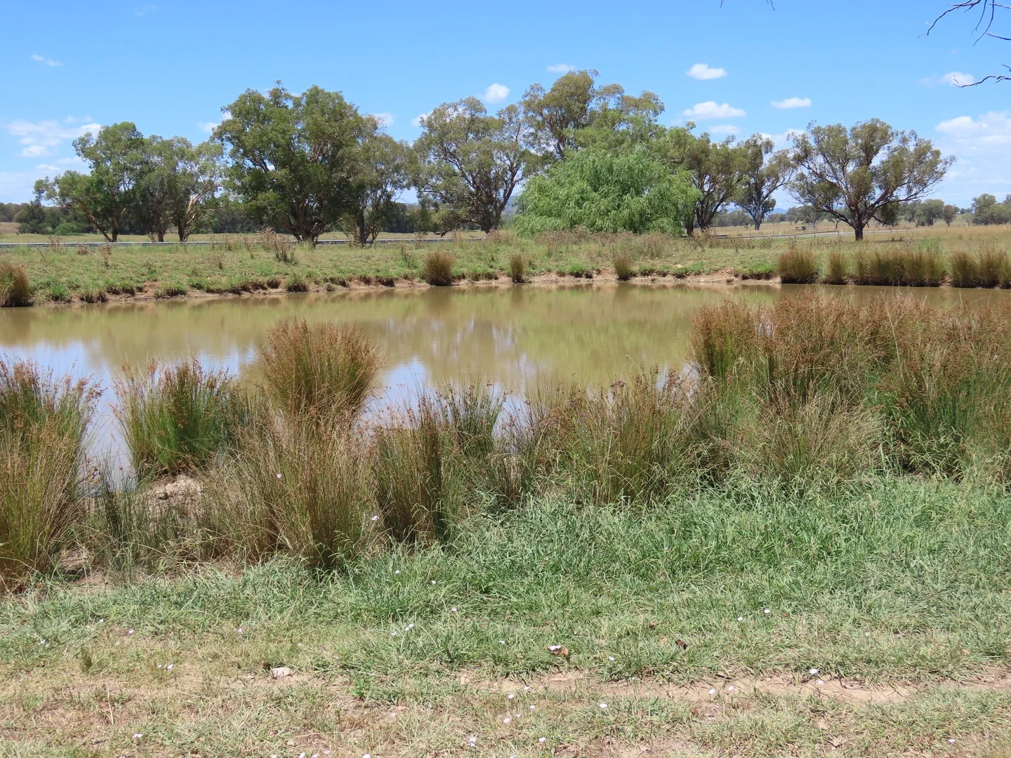 "Wattle-wee-doo" 14213 New England HWY, Timbumburi NSW 2340