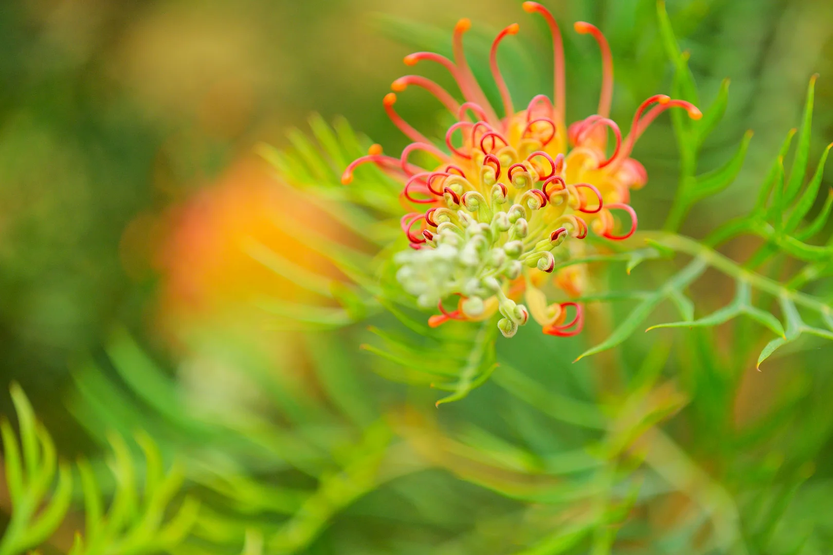 Additional image 26 of 47 Osborne Court, Wallu QLD 4570