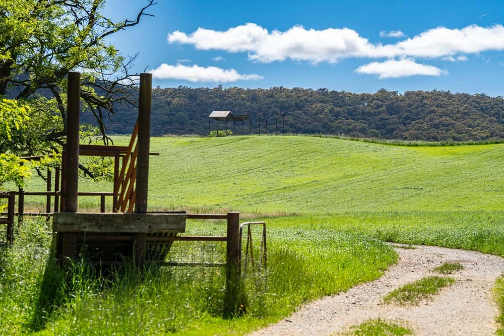 Additional image 17 of 1279 Edi-Cheshunt Road, Whitfield VIC 3733