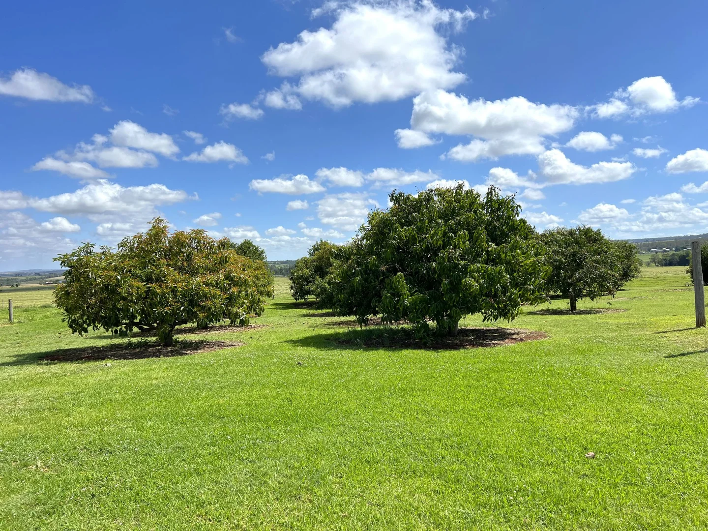 Additional image 32 of Lot 340 Weens Road, Kingaroy QLD 4610