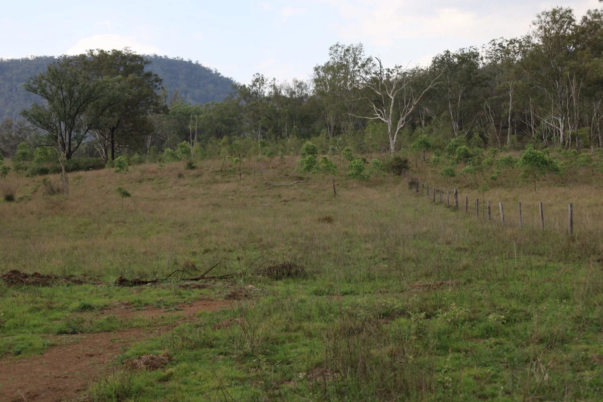 Additional image 5 of 479 Pine Mountain Creek Road, Monto QLD 4630