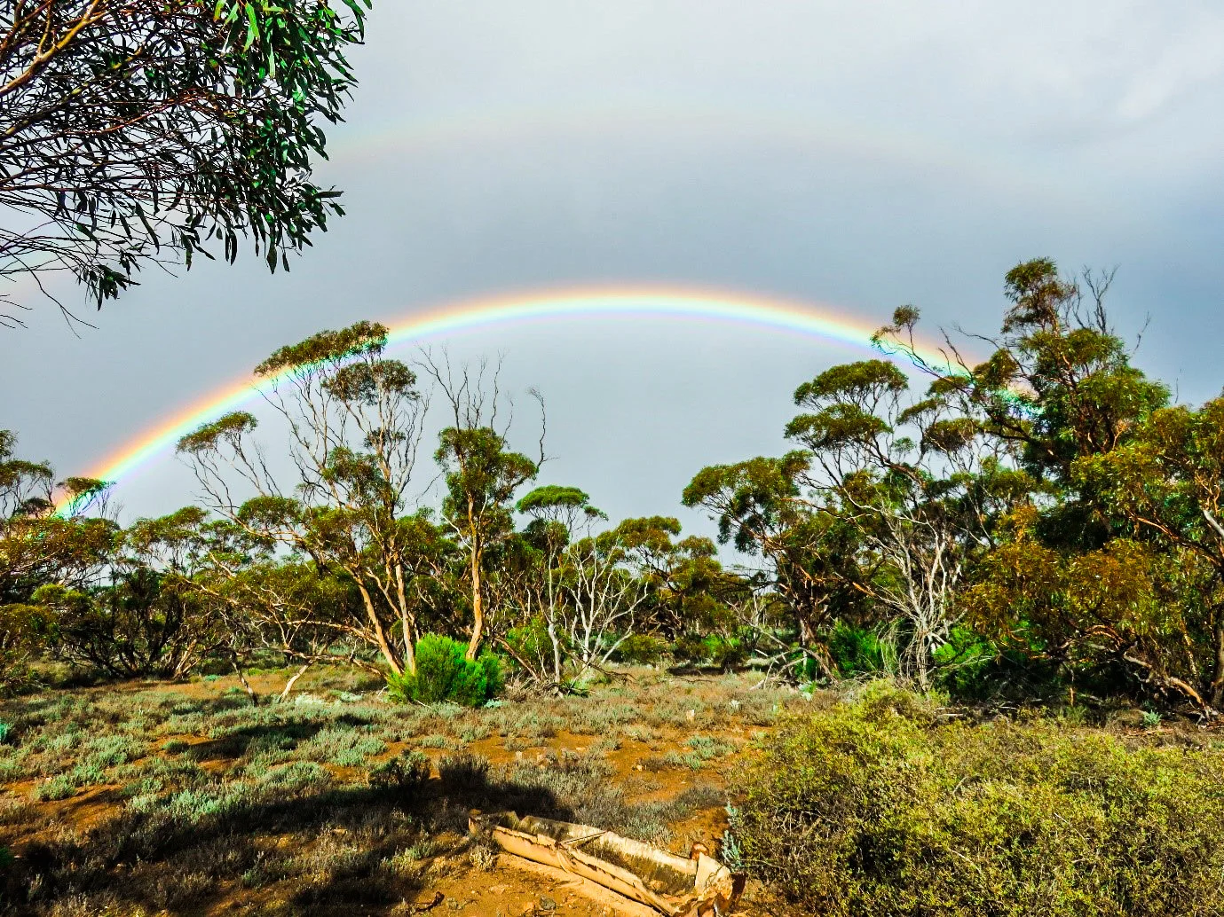Additional image 3 of 1 Swallows Nest Road, Cowell SA 5602