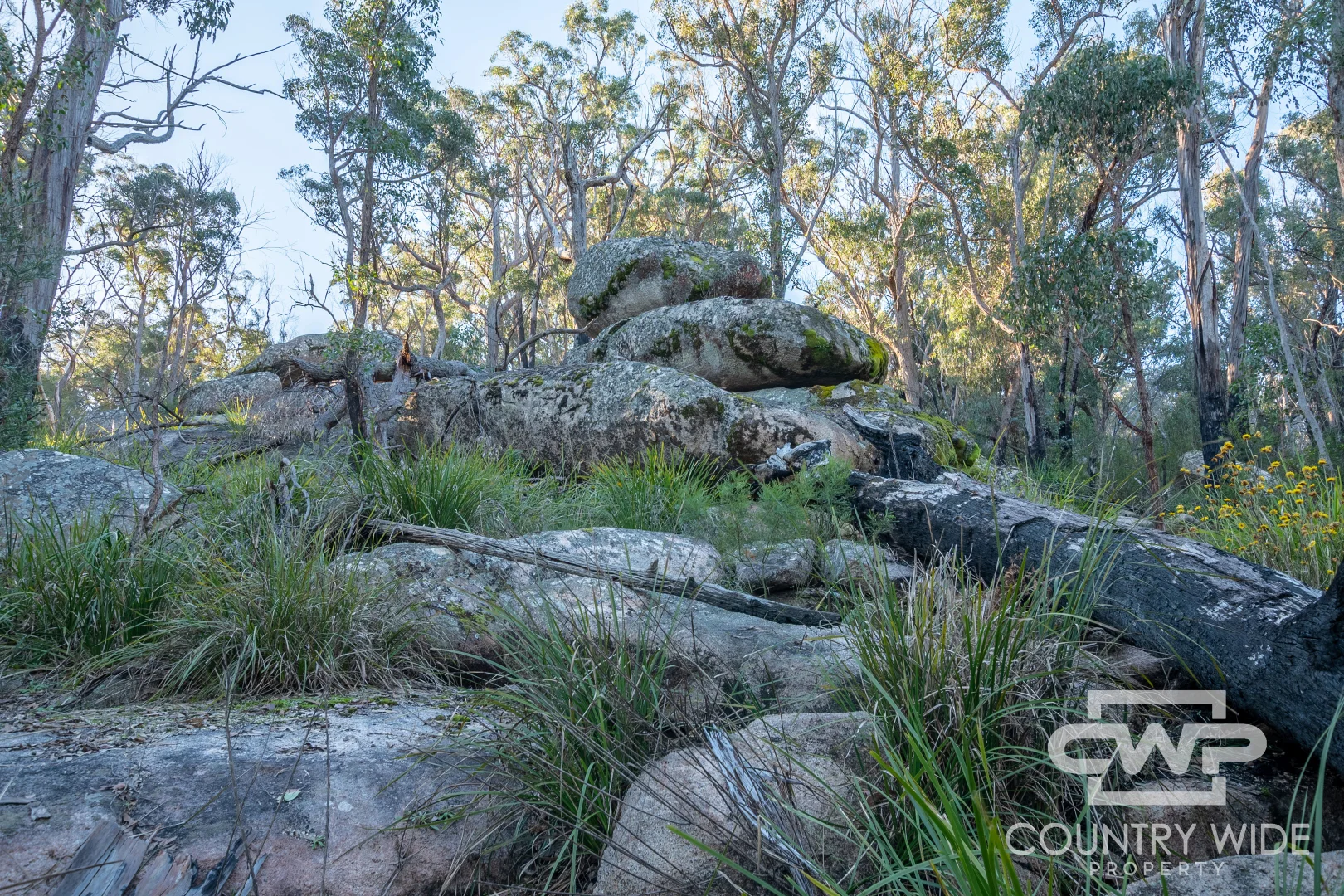 Additional image 18 of 2 Carrot Farm Road, Deepwater NSW 2371