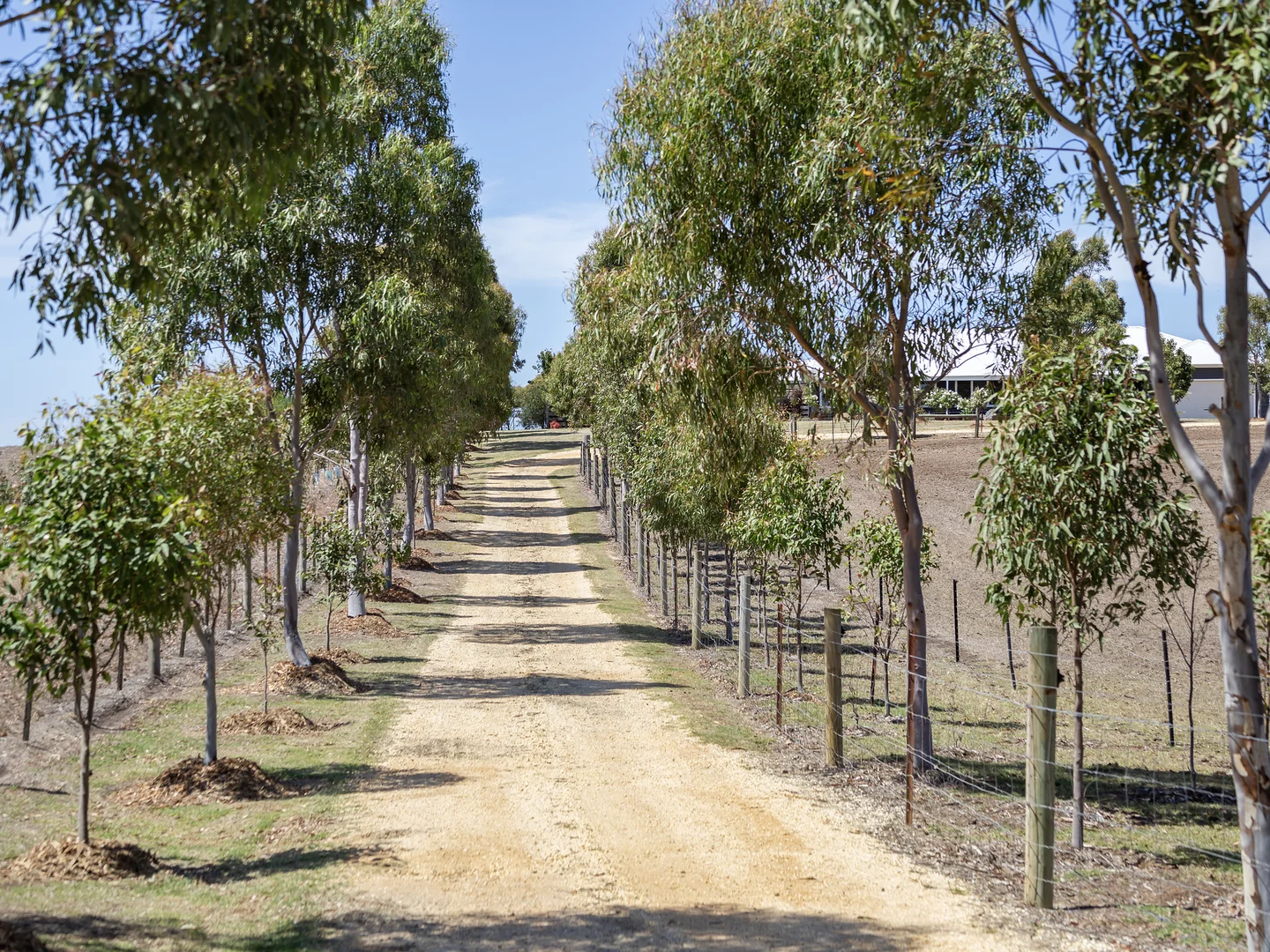 Additional image 4 of 377 Vickerys Road, Bellbrae VIC 3228