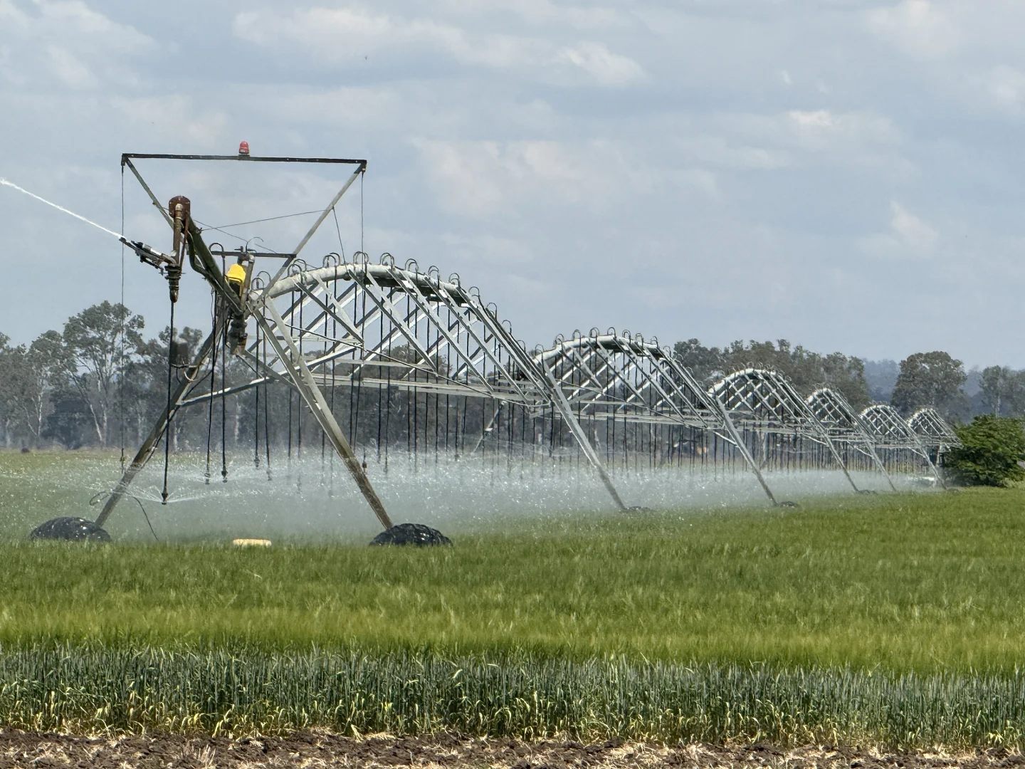 Additional image 13 of Burnett Highway, Three Moon, Monto QLD 4630