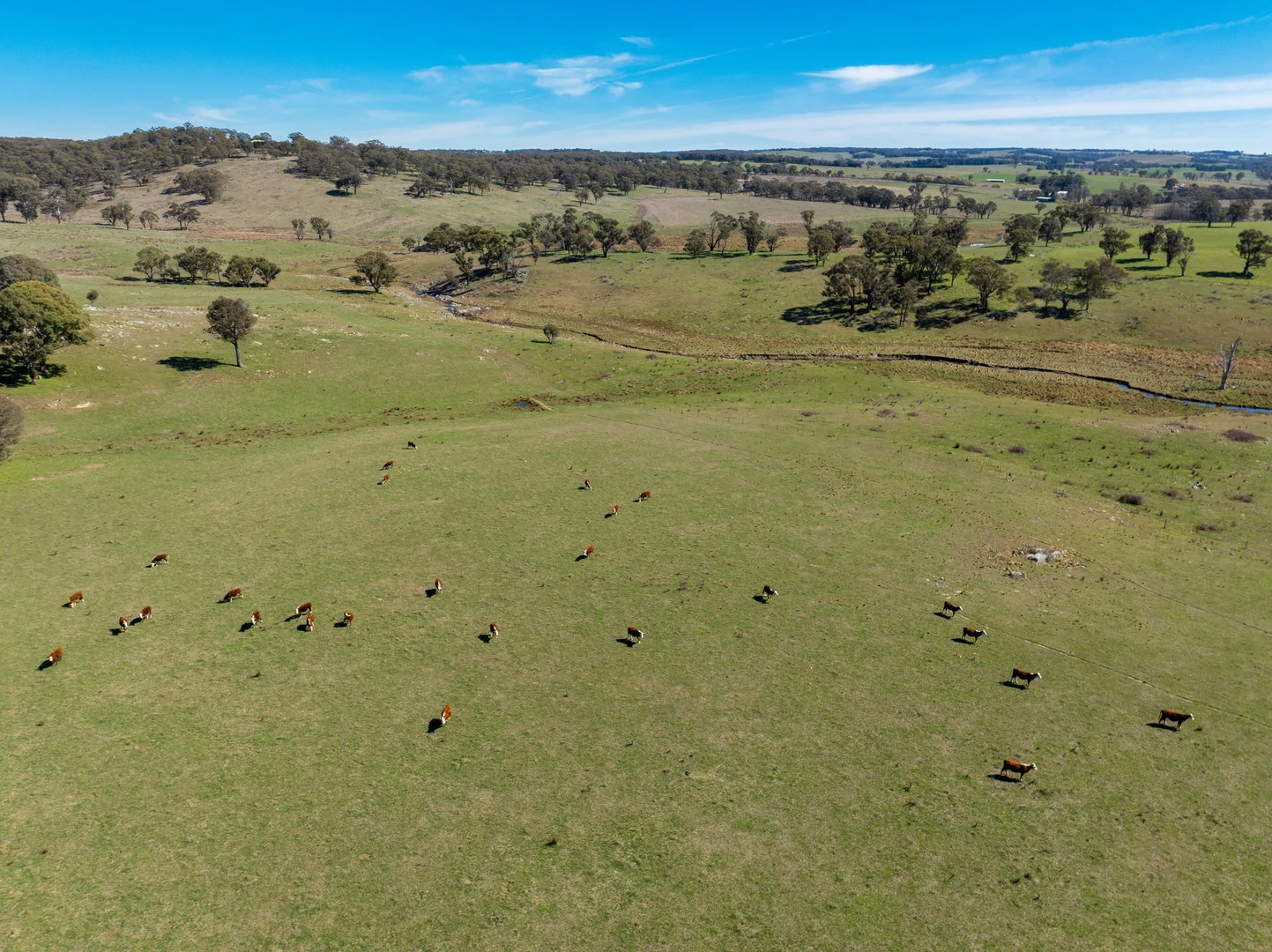 Additional image 7 of 5353 Trunkey Road, Trunkey Creek NSW 2795