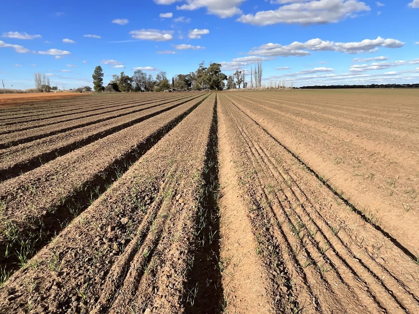 Additional image 11 of 73 Mirrool Branch Canal Road, Hanwood NSW 2680