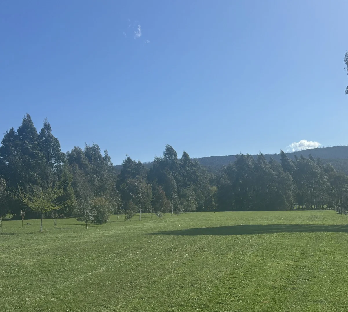 Additional image 2 of 15 Waters Place, Buxton VIC 3711