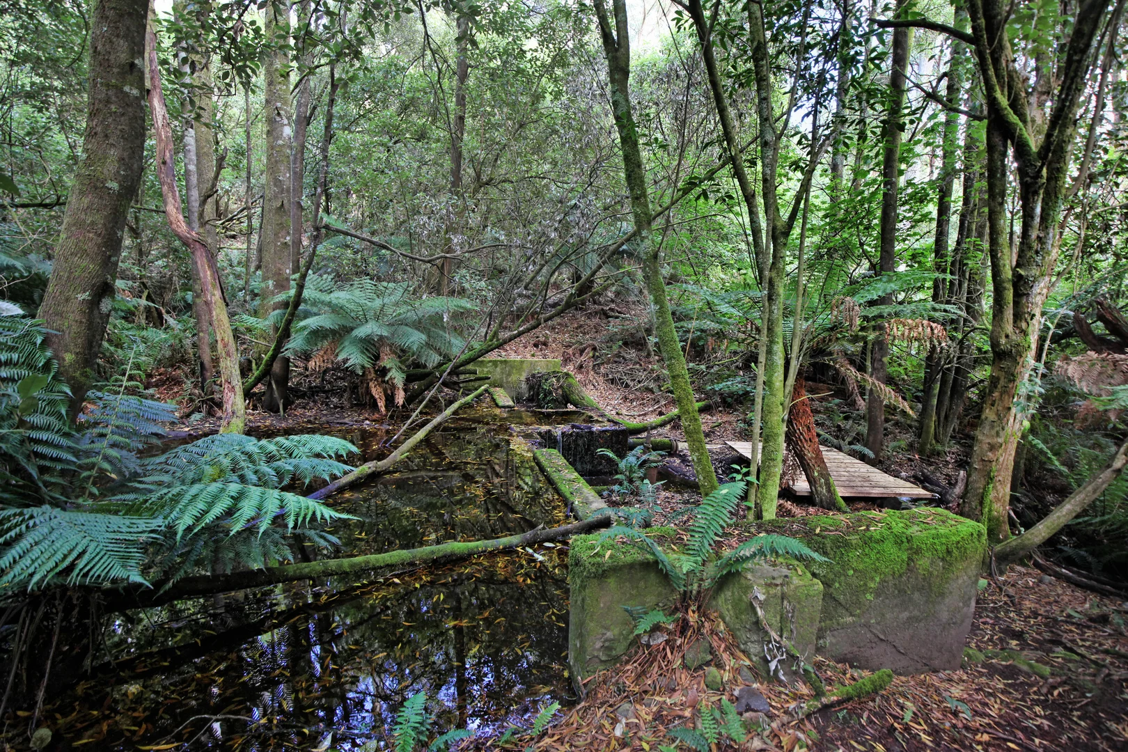 Additional image 31 of 26-28 Days Track, Hesket VIC 3442