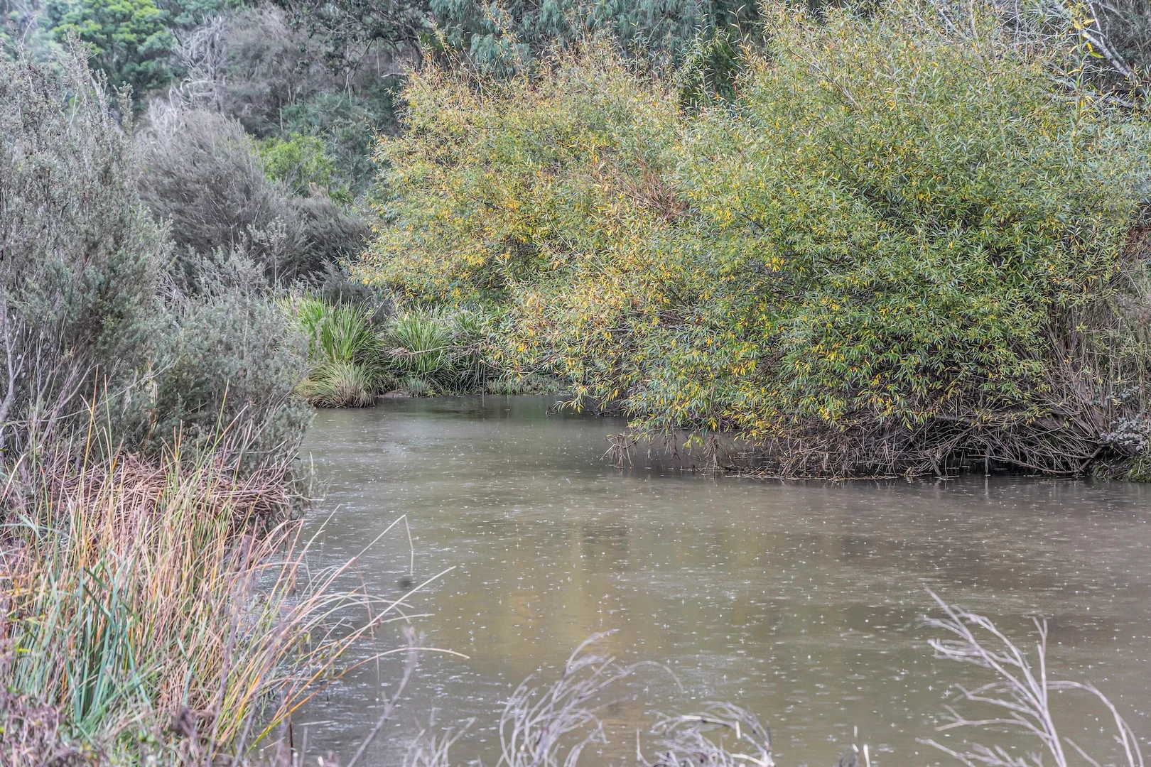 Additional image 5 of Lot 2&3 New Buildings Road, Wyndham NSW 2550