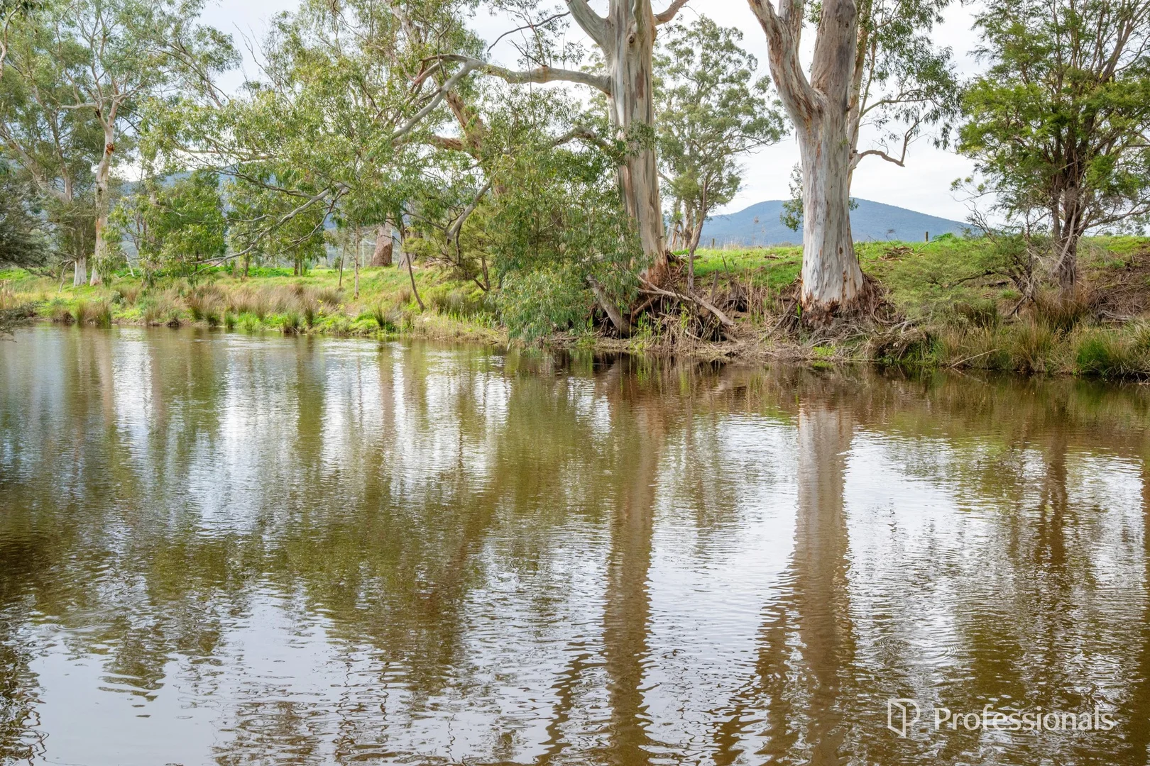 Additional image 38 of 230 Station Road, Wesburn VIC 3799