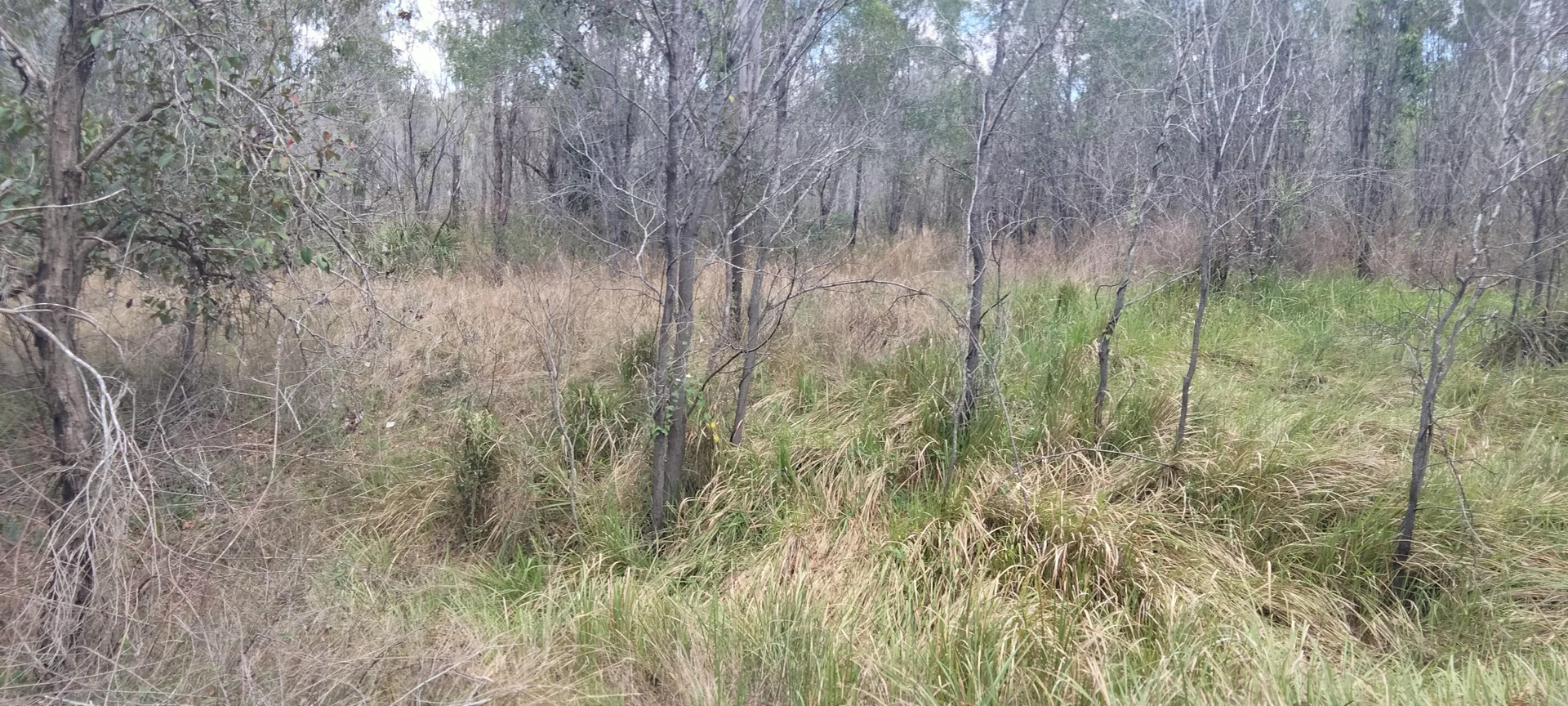 Additional image 34 of 3359 Lowmead Road, Lowmead QLD 4676