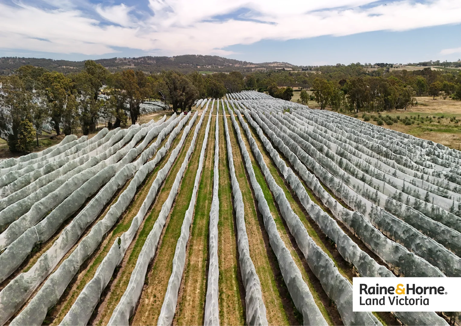 Additional image 4 of 43 Reservoir Road, Harcourt VIC 3453