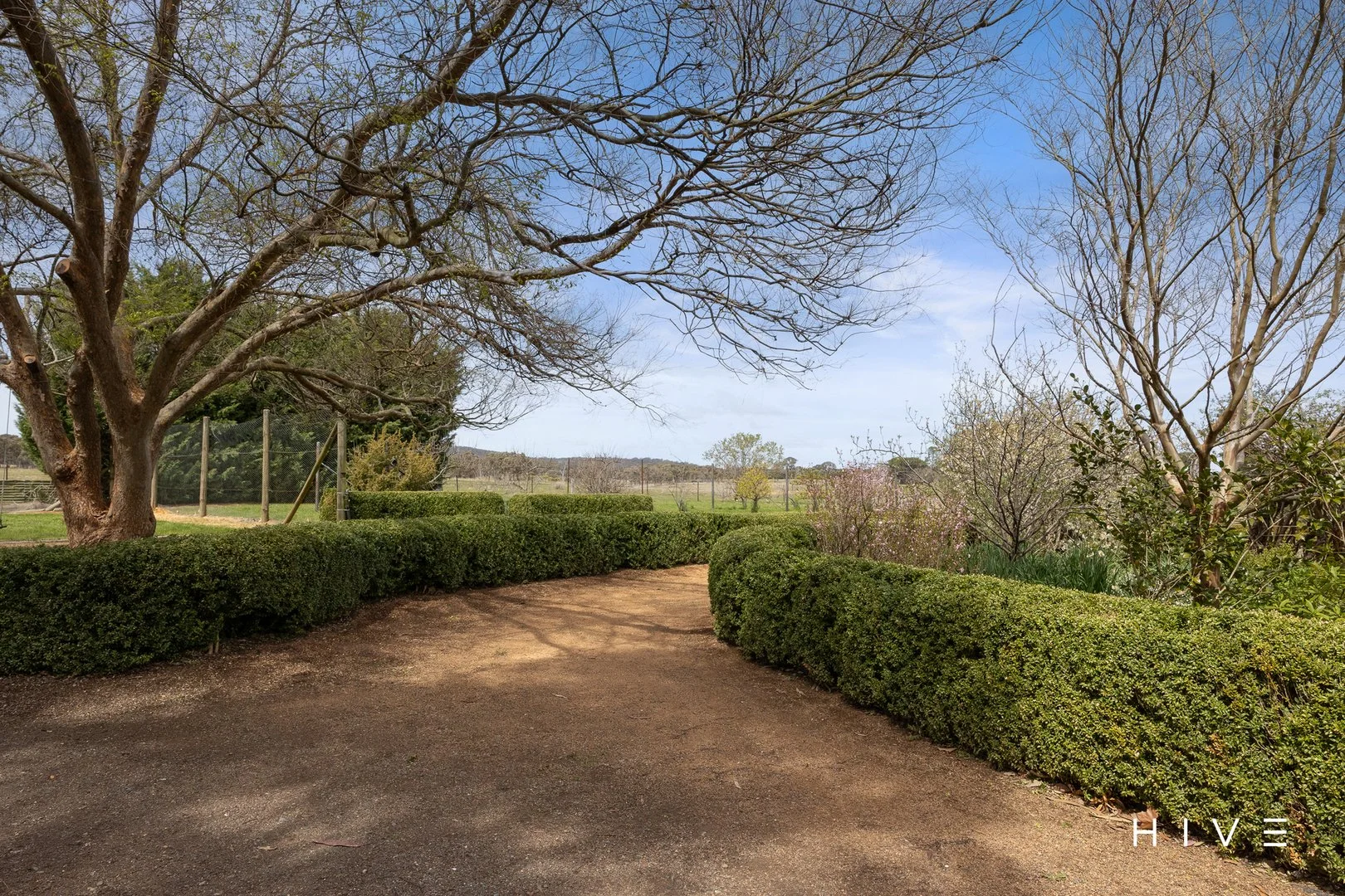 Additional image 3 of 31 David Street, Gundaroo NSW 2620