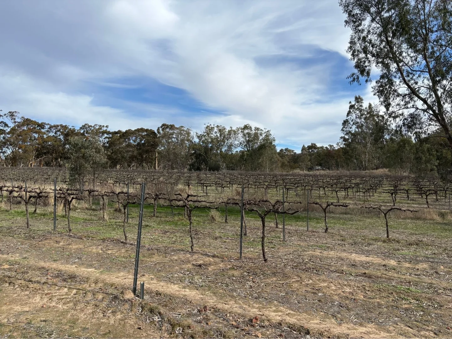 Additional image 3 of 102 Sawmill Road, Sevenhill SA 5453
