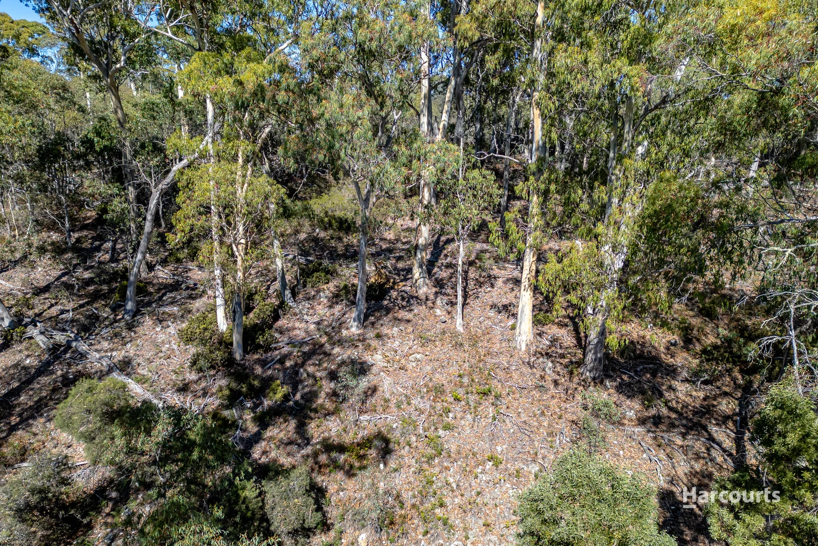 Additional image 11 of 25 Wigrams Way, London Lakes TAS 7140