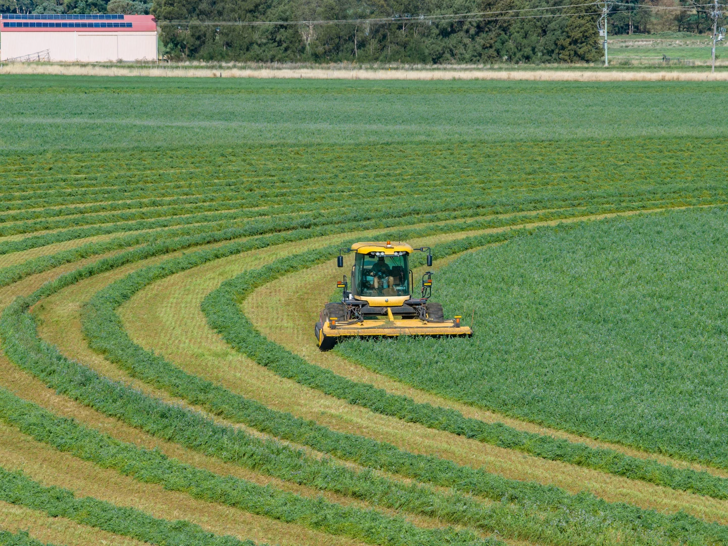 Additional image 2 of 349 Nangar Road, Canowindra NSW 2804