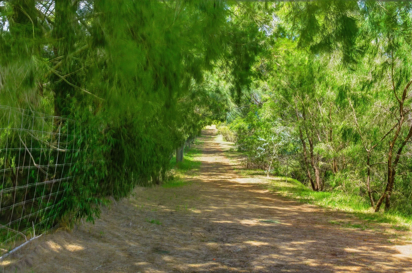 Additional image 7 of Lot PL 2/1120 Wildwood Road, Yallingup Siding WA 6282