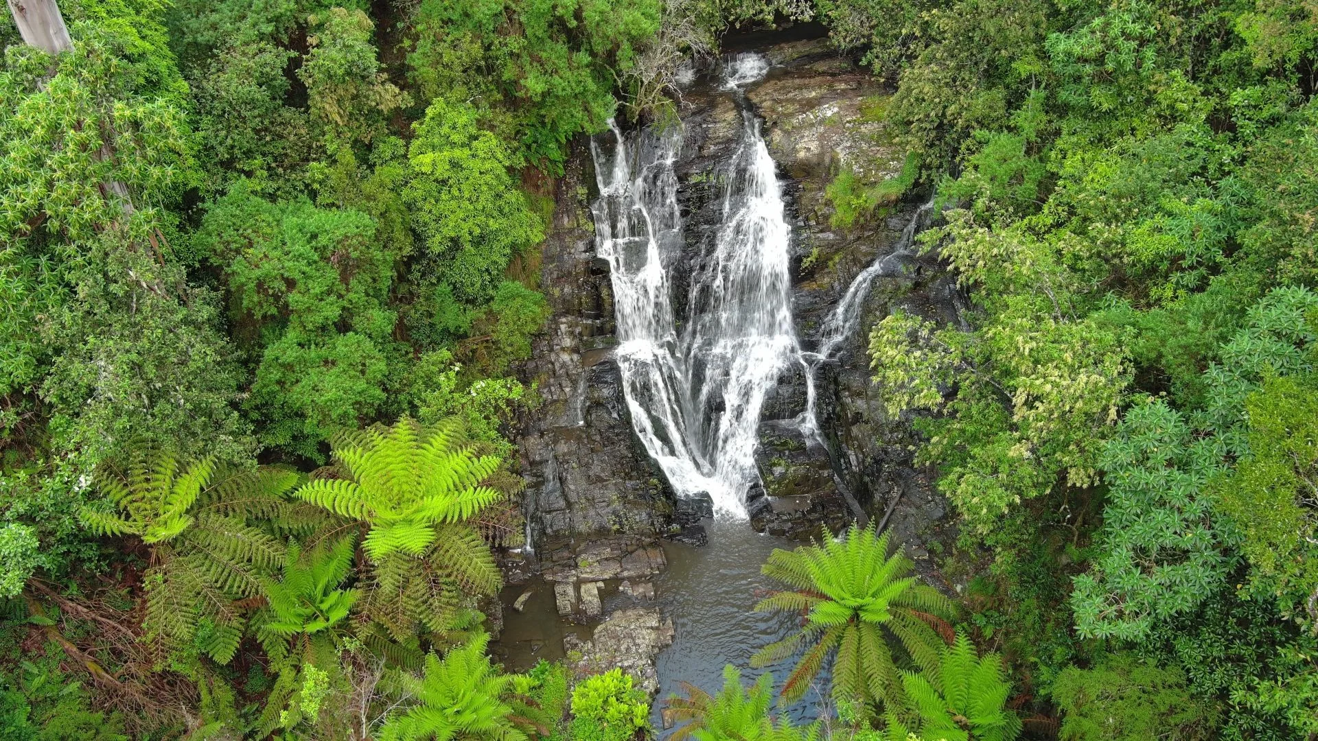 Additional image 11 of Grand Ridge VIC 3870